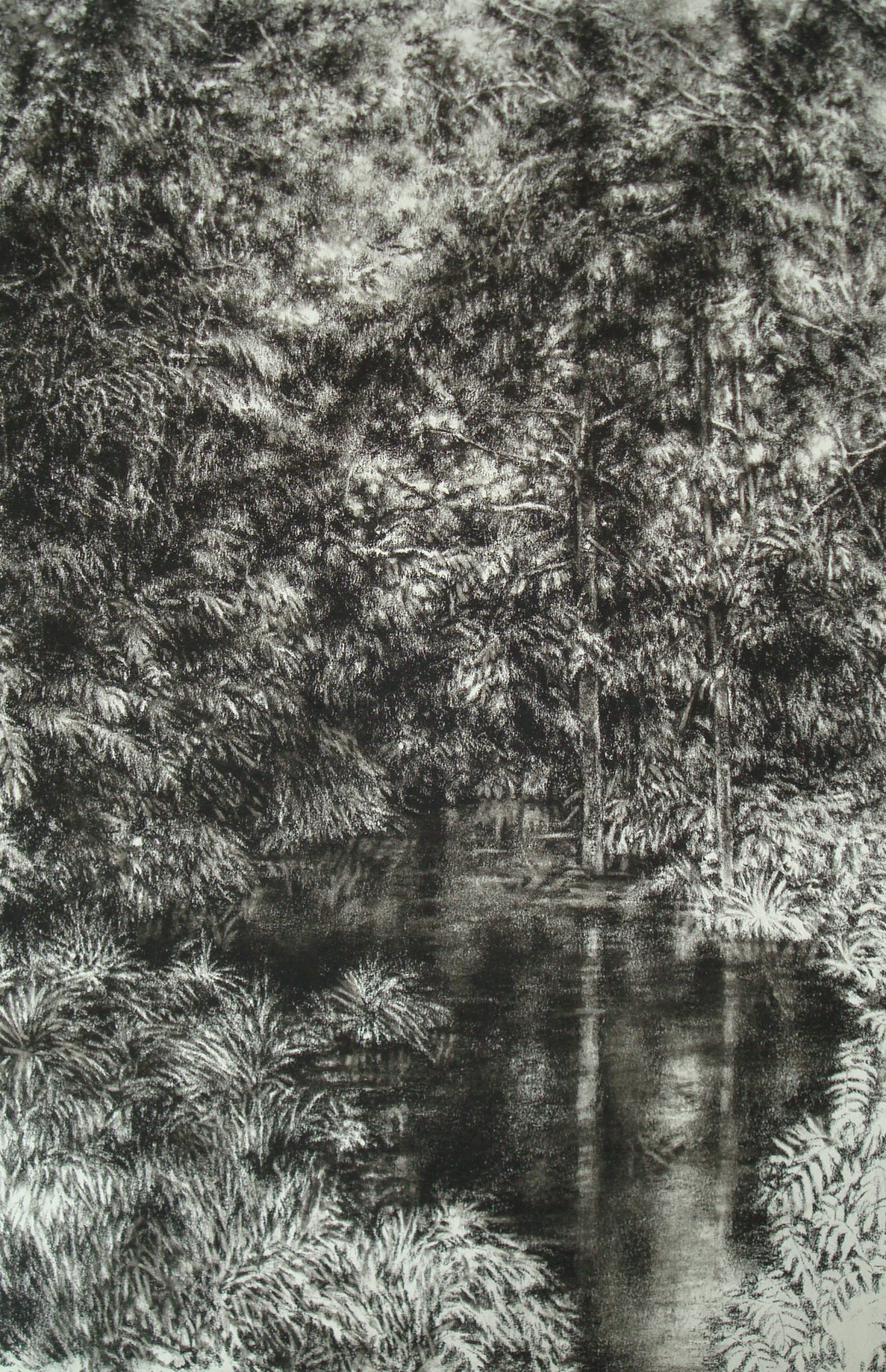 jungle-2