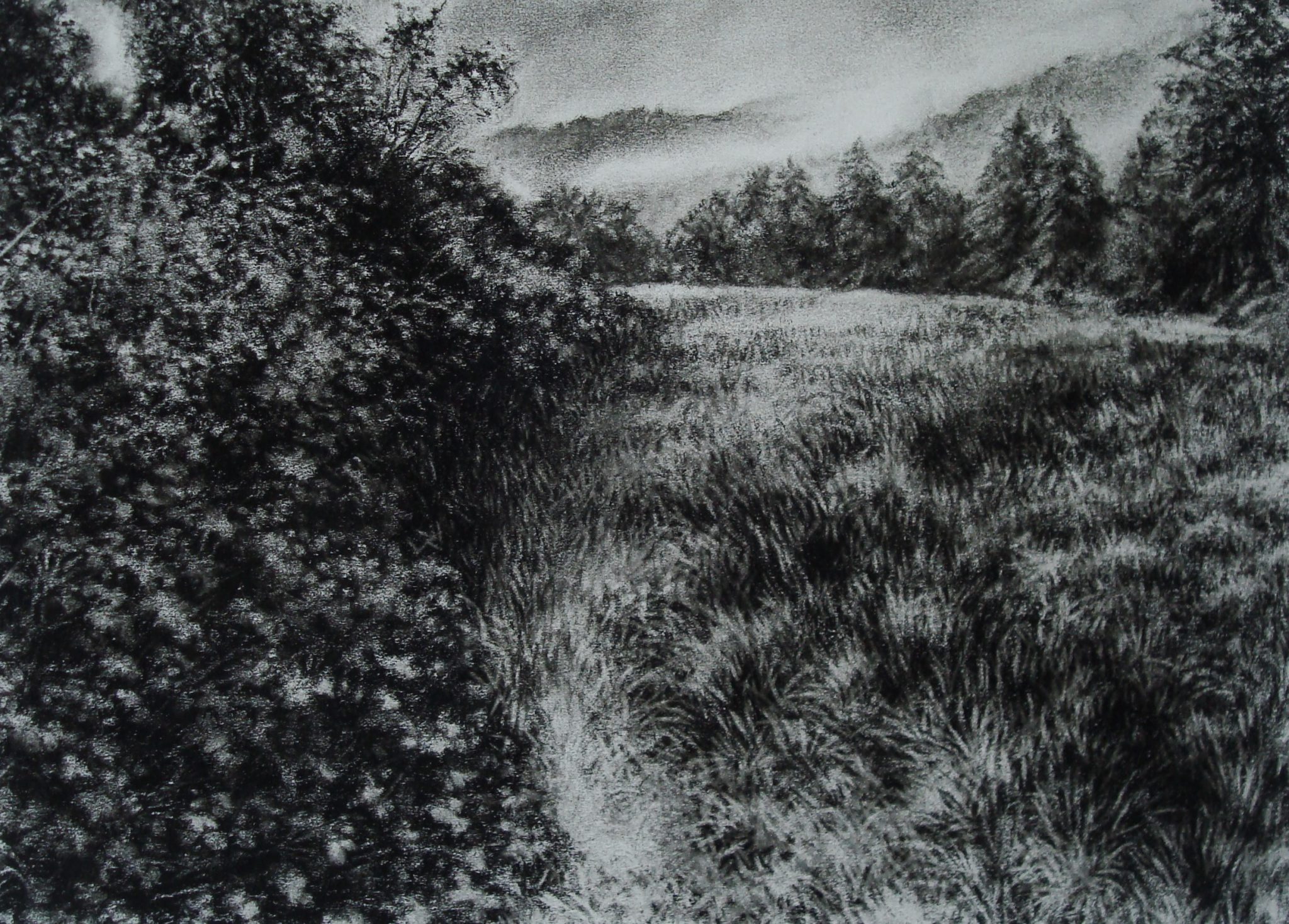 morvan-2