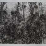 Jungle 7 par Clémence WACH