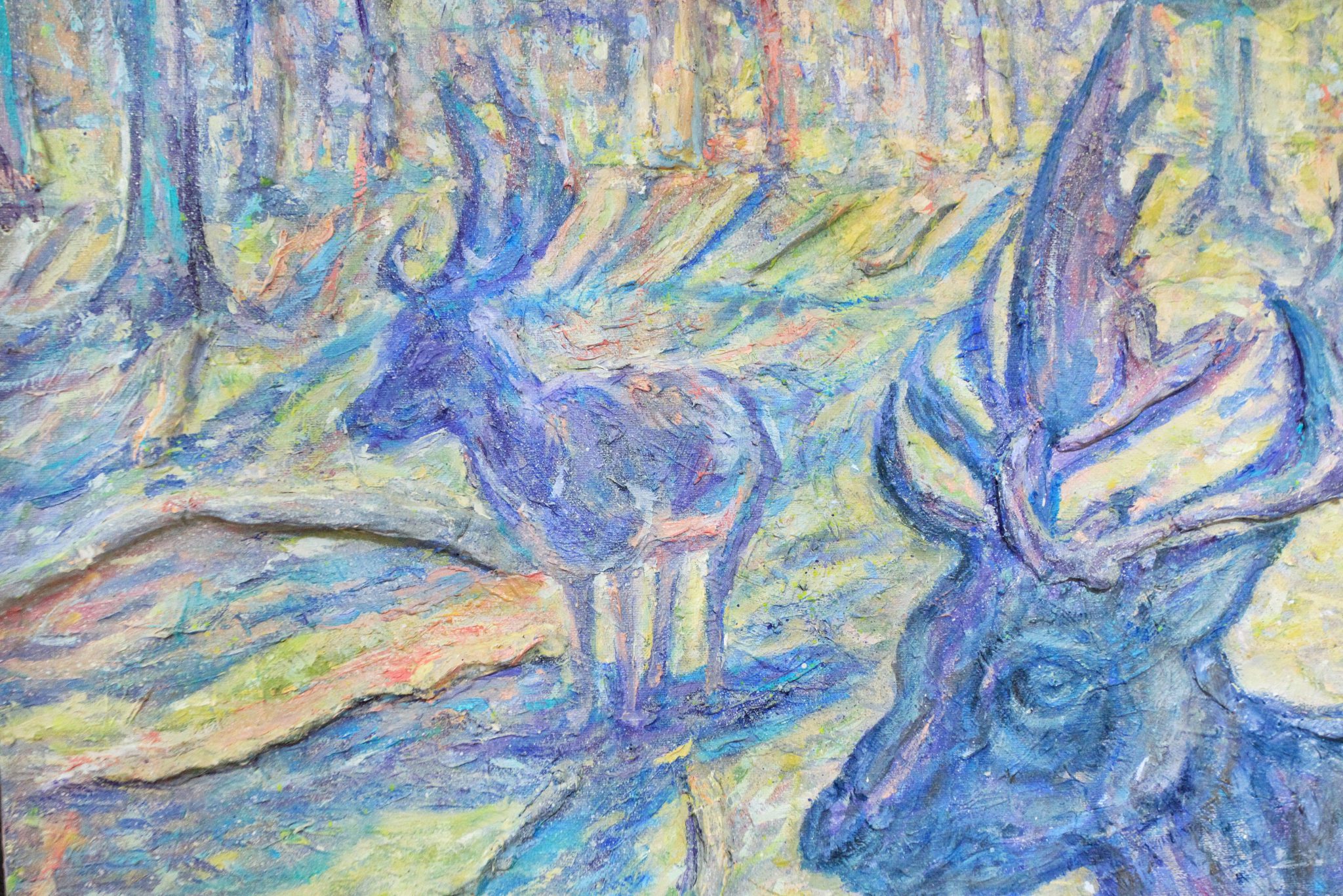 in-the-woods-2