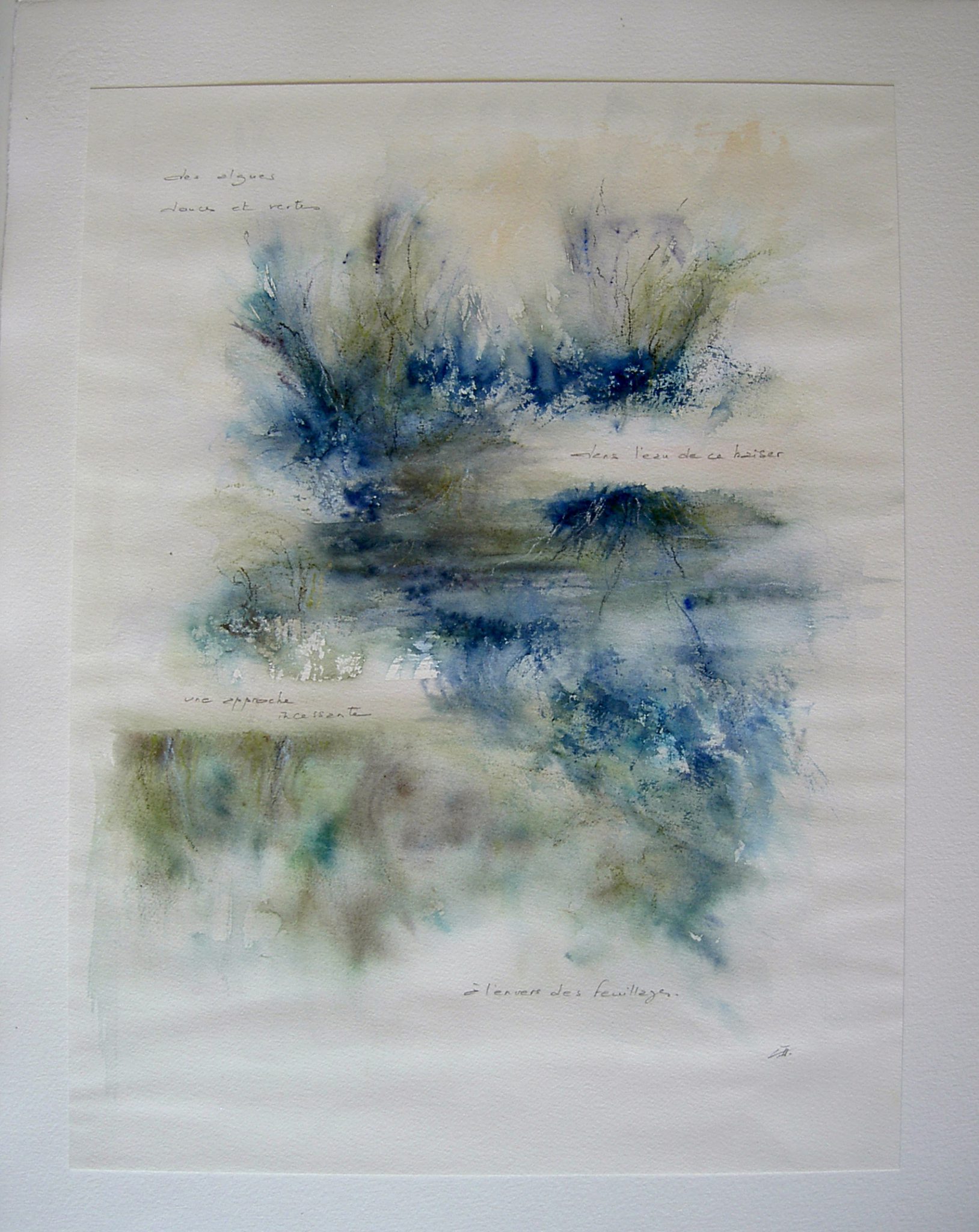 a-lenvers-des-feuillages