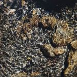 Petits cailloux-Clarée par JONES