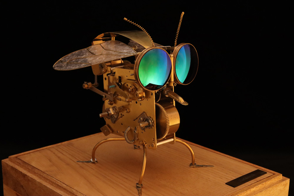 fashion-fly