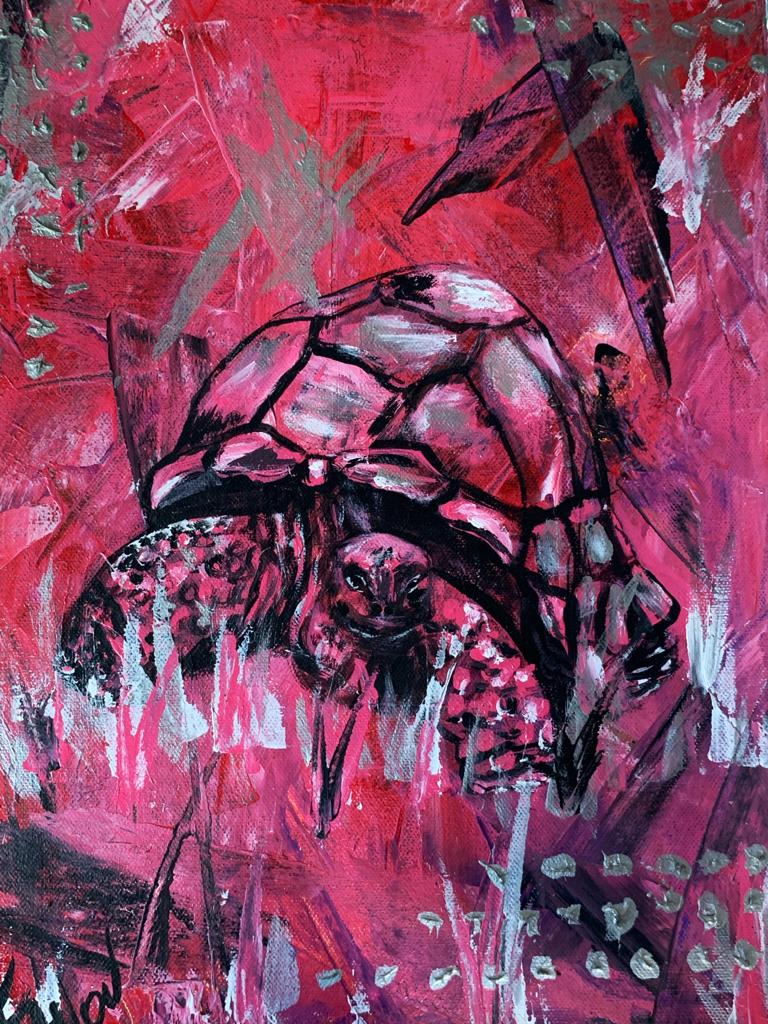 tortue
