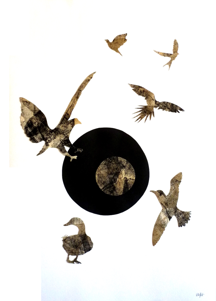 disparition-des-oiseaux