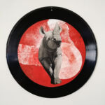 Bestiaire : Rhinocéros olympien