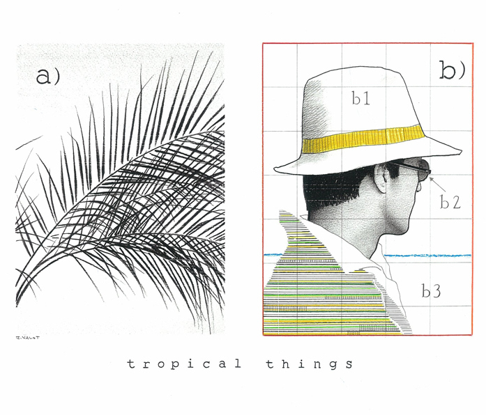 tropical-things