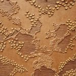 Territoire inconnu