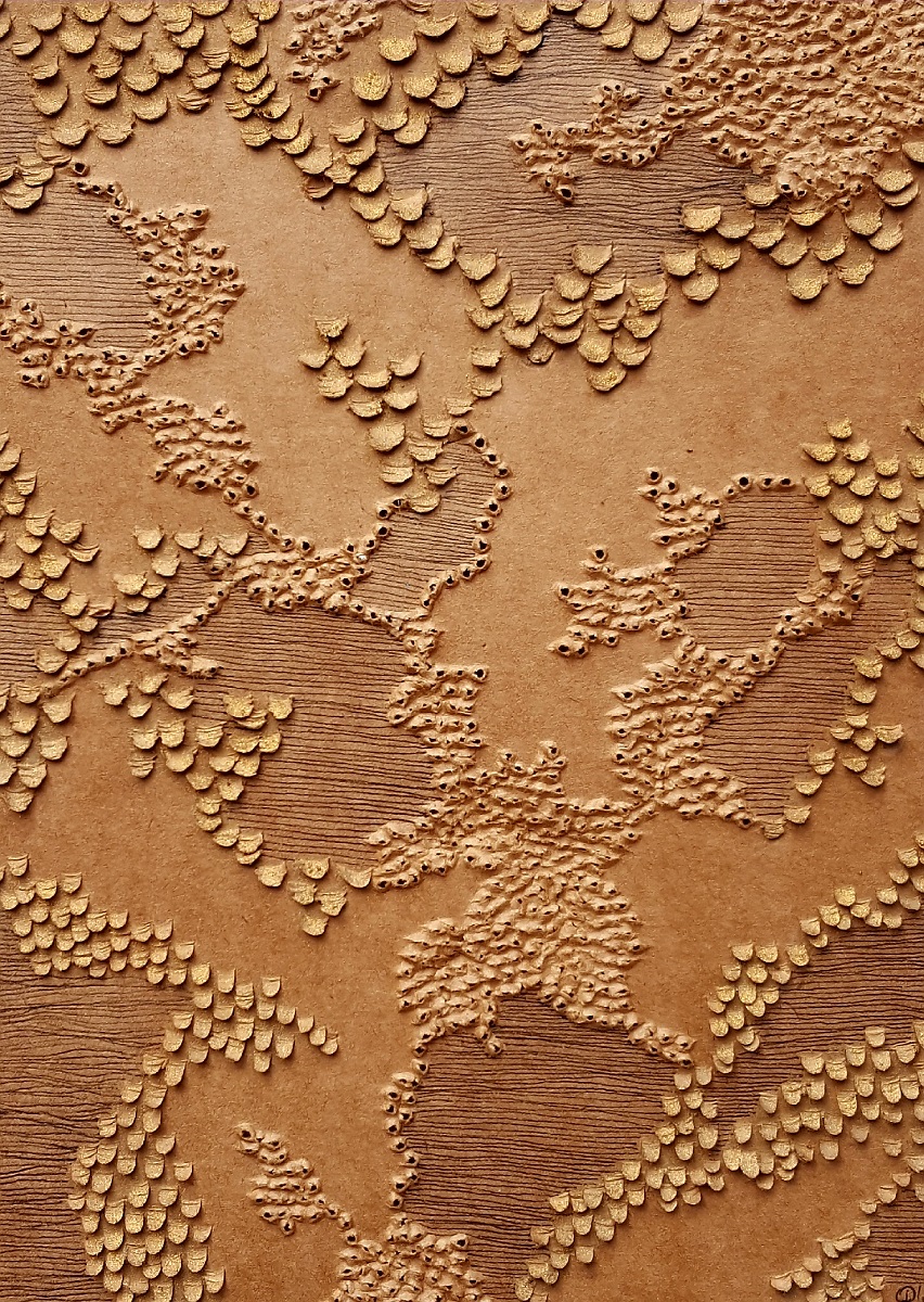 territoire-inconnu