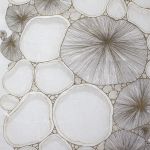 Tissu