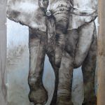 le pas de l'elephant