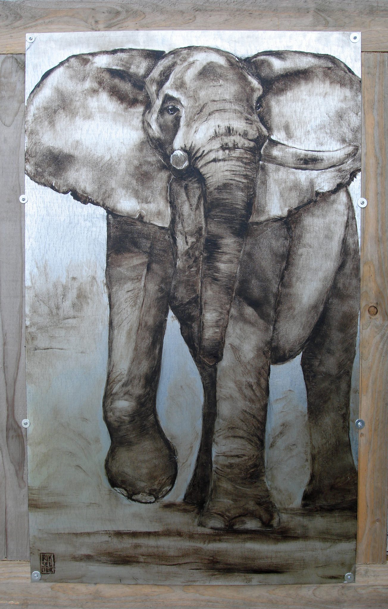 le-pas-de-lelephant