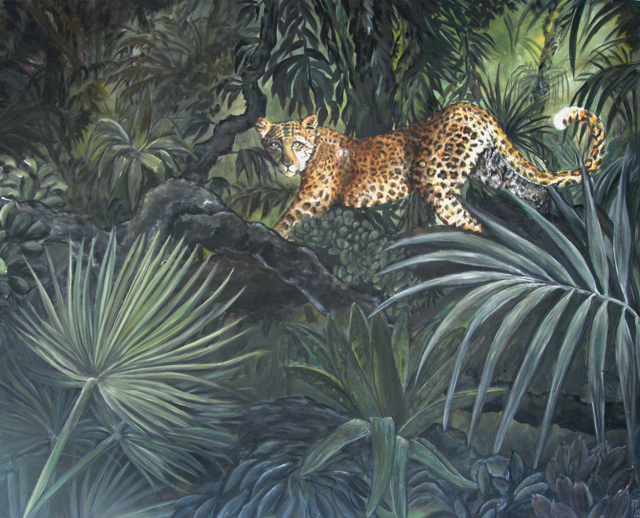 panthere-dans-la-jungle