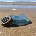 kwalmitochondrier par Euphemia van Huystee