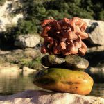 Mitochondrie osmotique par Euphemia van Huystee