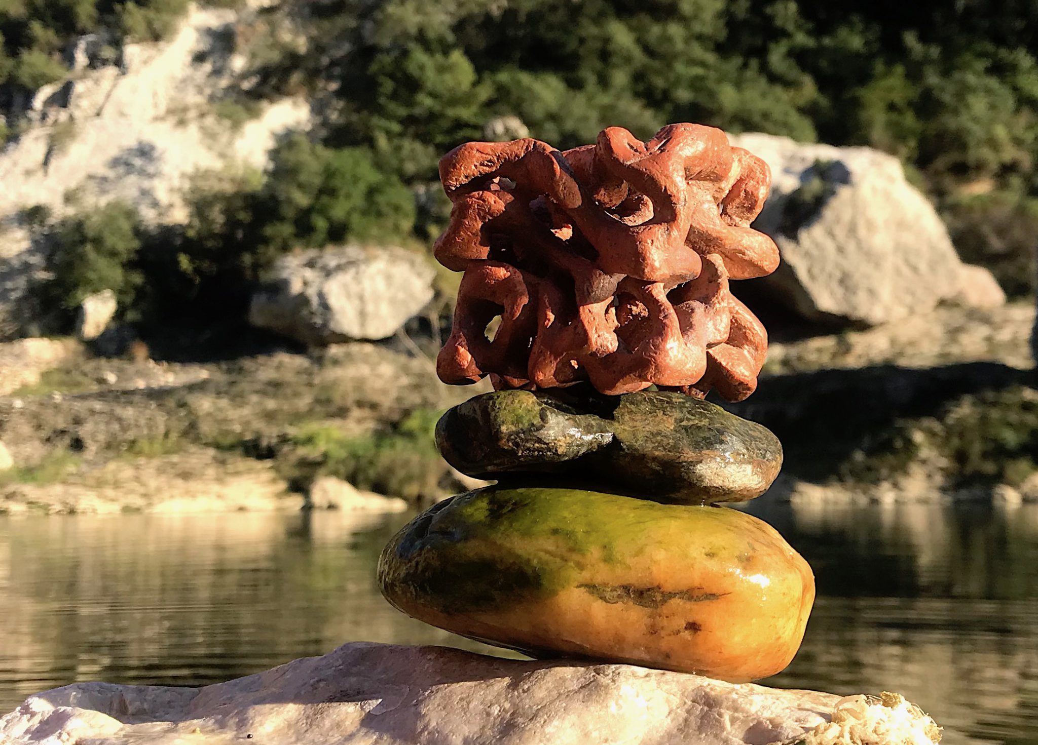 mitochondrie-osmotique