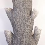 La Peau du Cèdre