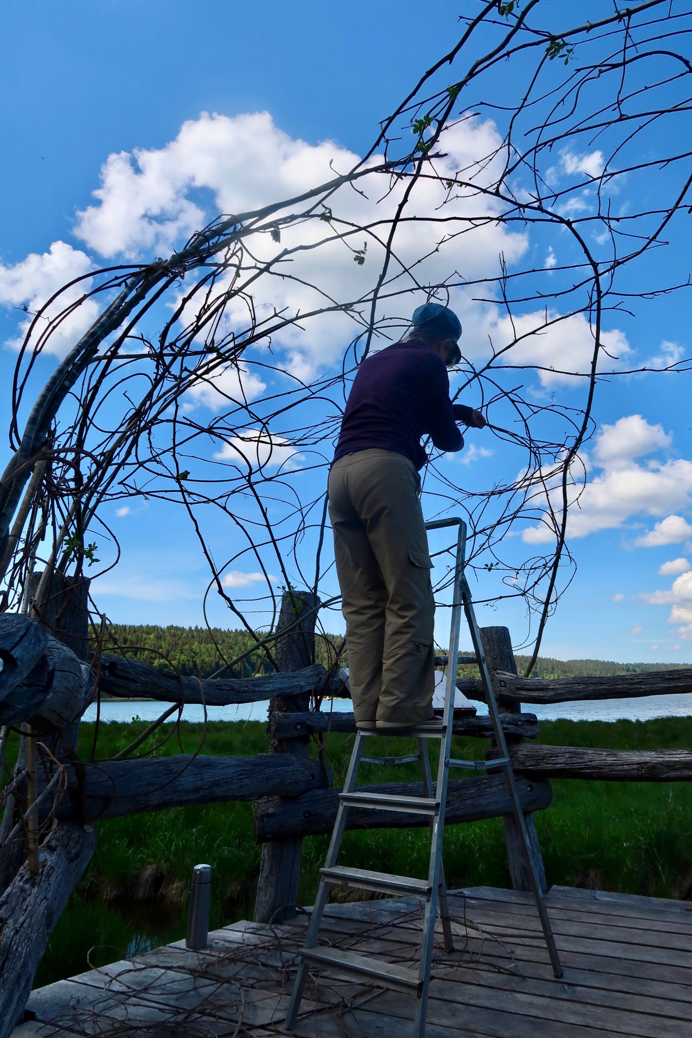nid-installation-in-situ-vallee-de-joux-suisse