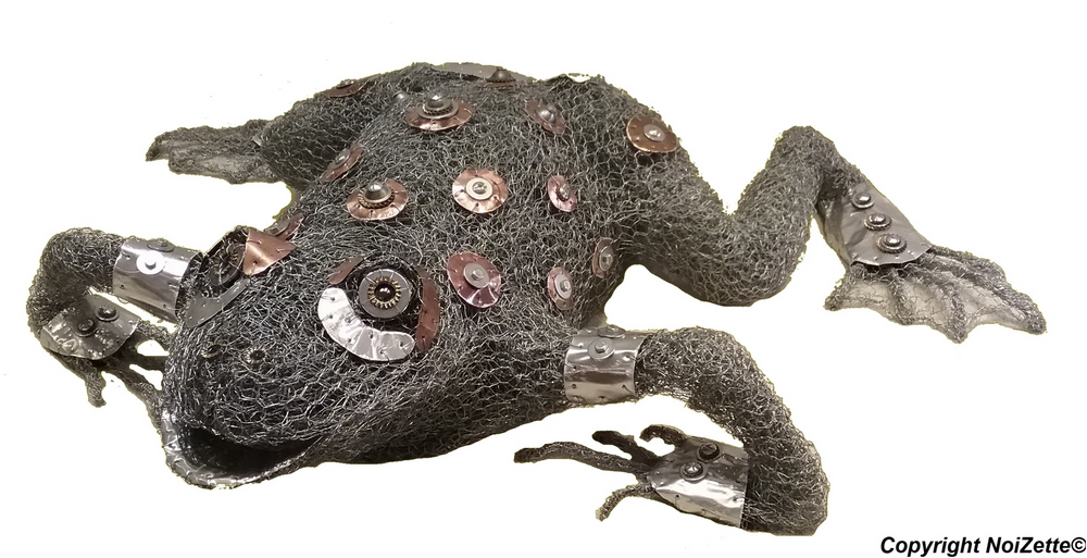 alphonse-le-crapaud
