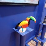 Toucan par Monique BALLIAN dite NoiZette