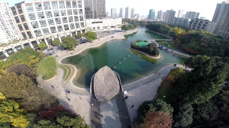 autumn-leave-shanghai-2014