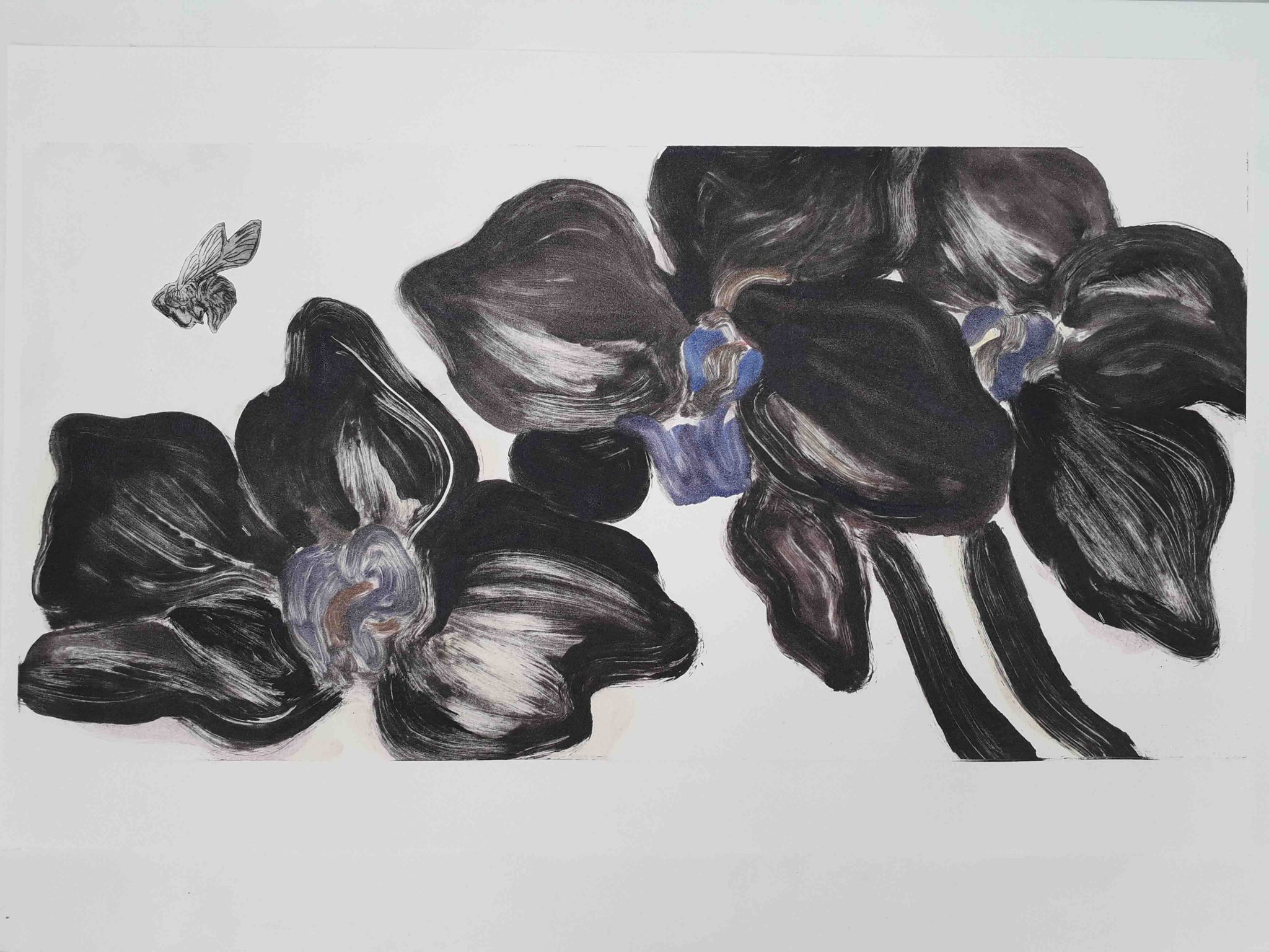 orchis-noires-2020
