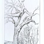 Danse estivale par FANNY DELUMEAU