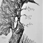 REGARDS 23 par FANNY DELUMEAU