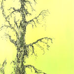 Regards 40 par FANNY DELUMEAU