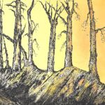 Regards 48 par FANNY DELUMEAU