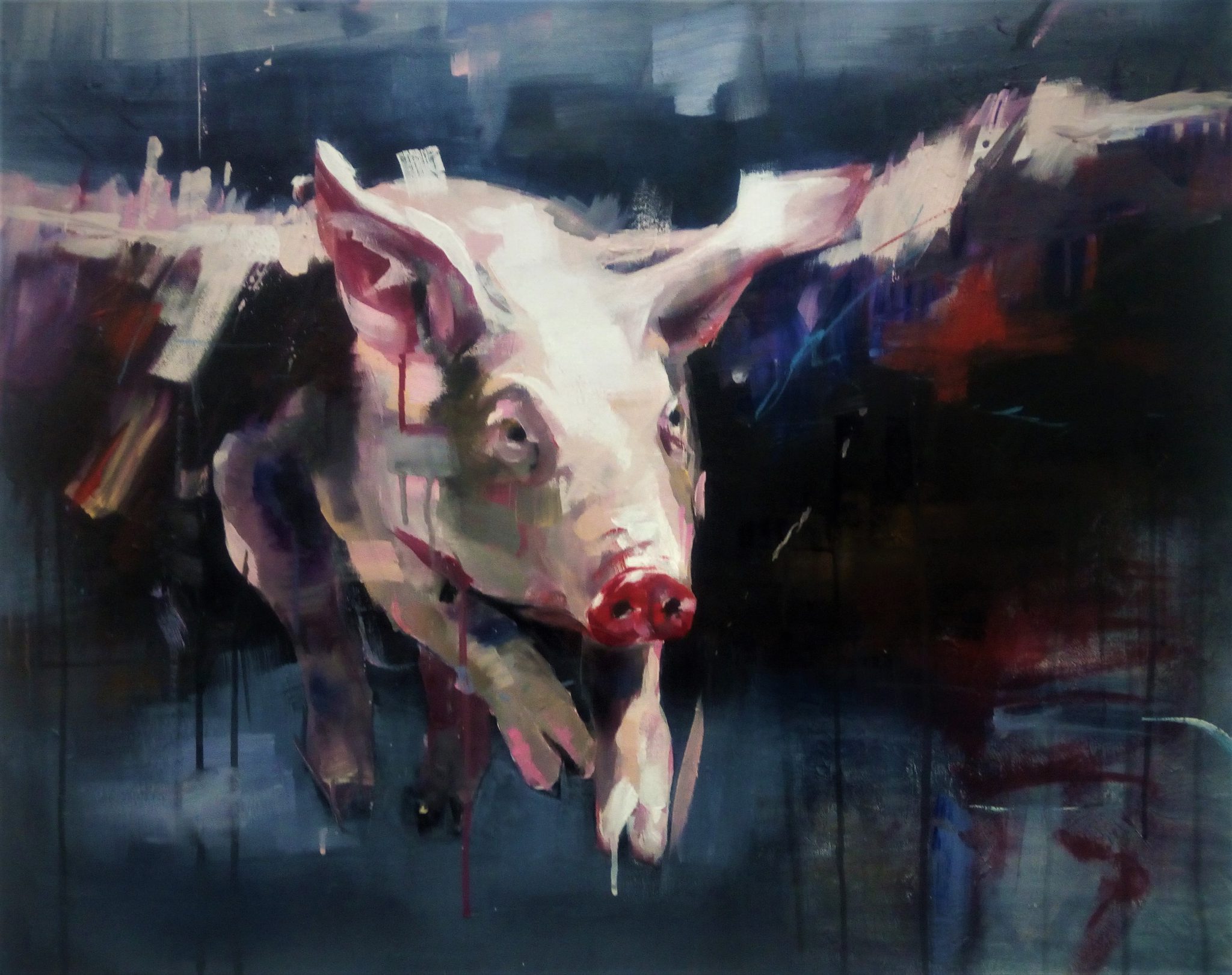 flying-pig-ii