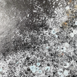 De la Terre à la Lune (exemplaire unique)