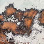 Rouille (exemplaire unique)