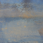 Pavot bleu de l\'Himalaya 7/12
