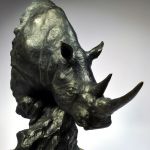 Rhinocéros Blanc