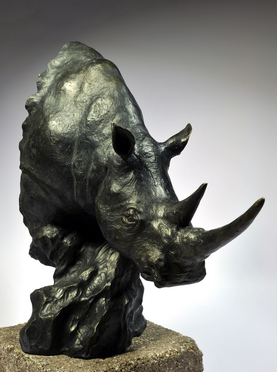 rhinoceros-blanc