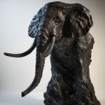 Éléphant d'Afrique