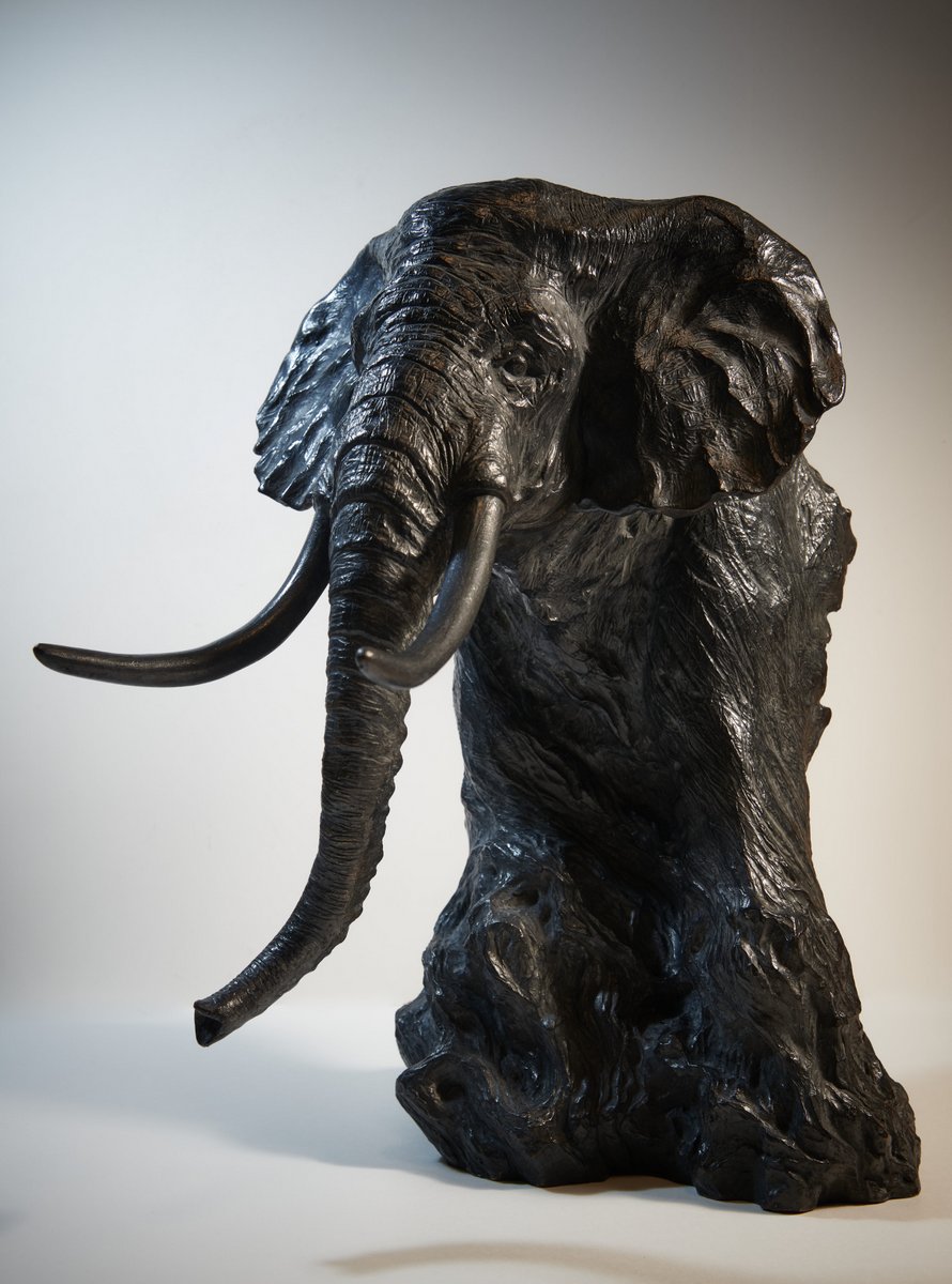 elephant-dafrique