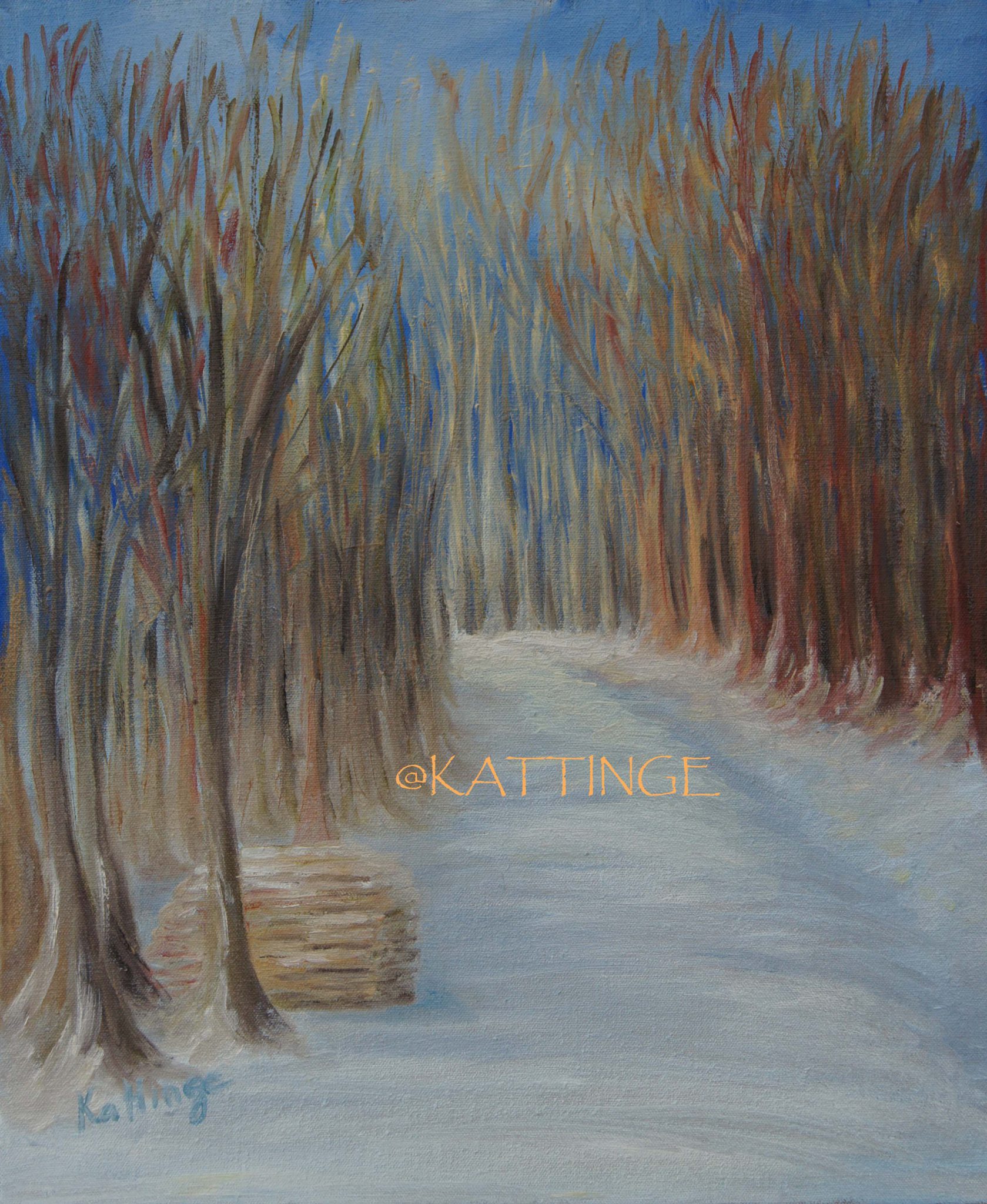 neige-dans-les-bois