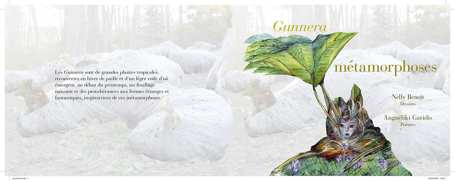 gunnera-metamorphoses