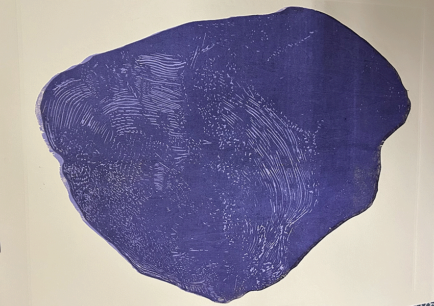 coupe-oublie-enchante-serie-3