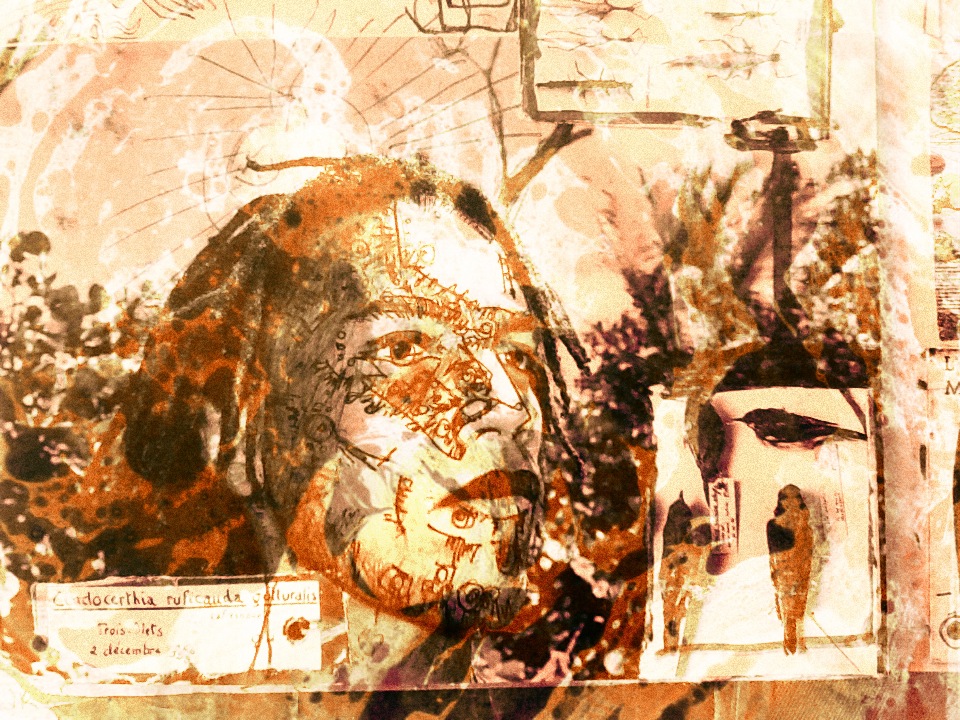 mythologies-personnelles