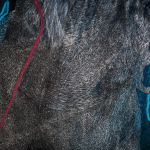 SBH_1272