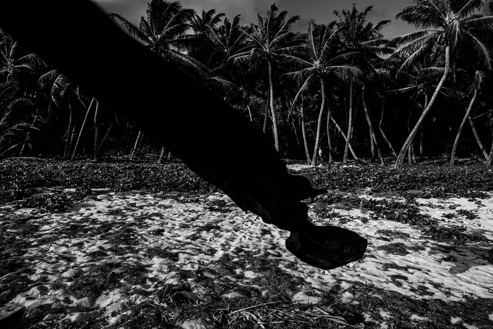 sbh_9865