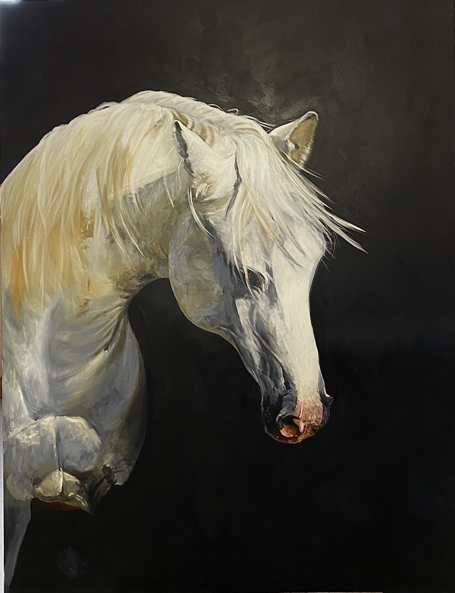 cheval-blanc-3