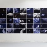 Asteros solanums