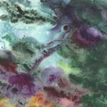 Silène des glaciers N°1 par Marion Fontaine