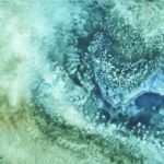 Scintillements infinis par Marion Fontaine