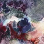 Velours polaire par Marion Fontaine