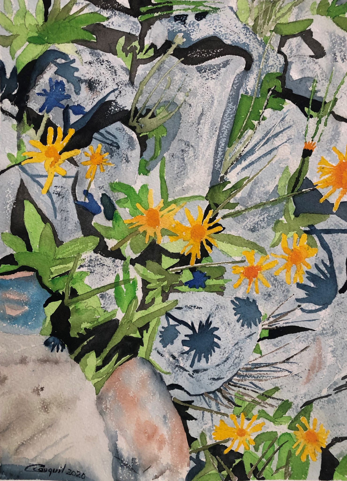 fleurs-de-rocaille